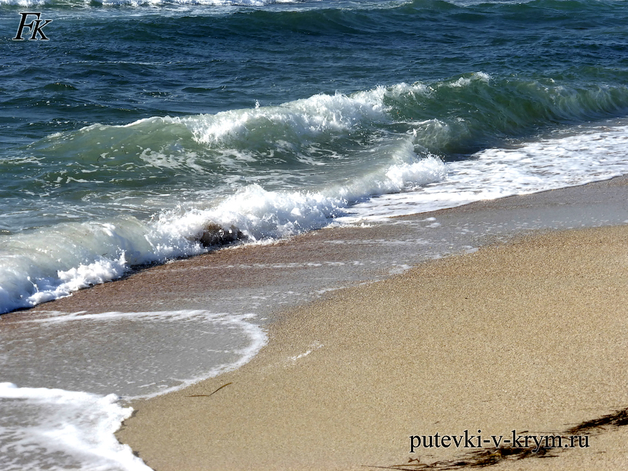 Фото дикий песчаный пляж Крым Межводное