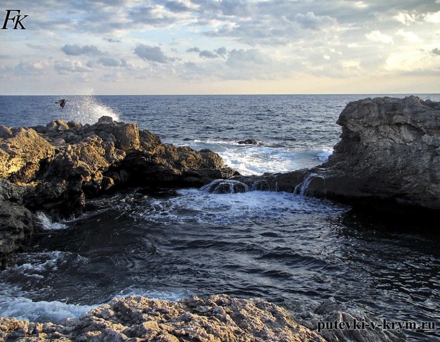 Шторм Чаша Любви