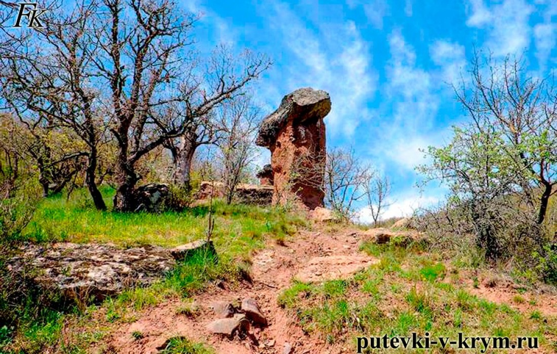 Каменные грибы в долине Сотеры