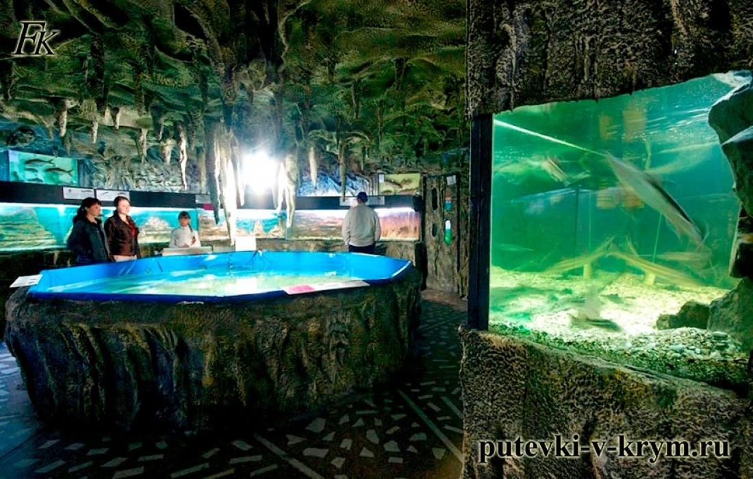 Алуштинский аквариум