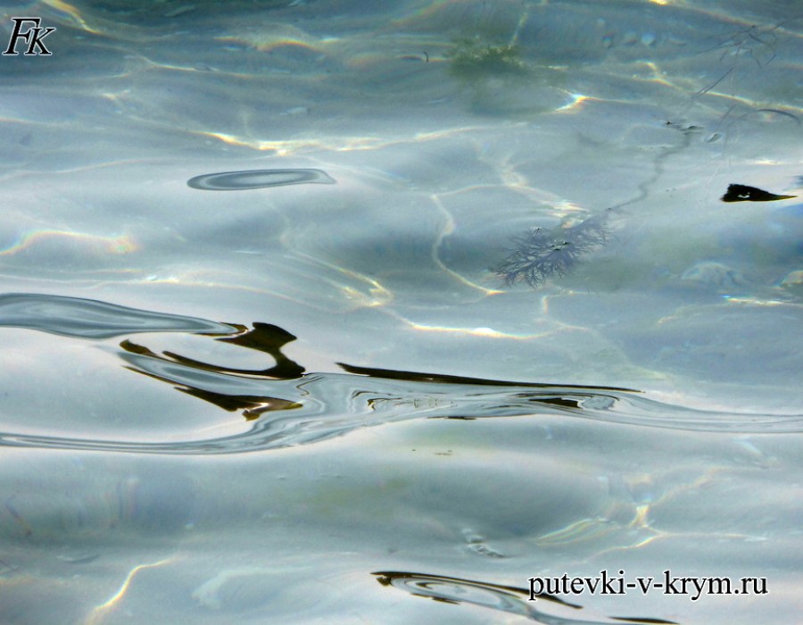 plyazhi_Kryma_Chernomorskoe_4